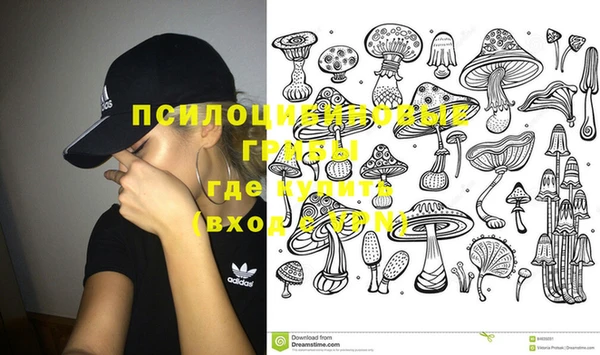 2c-b Аркадак