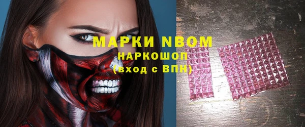 гашик Россошь