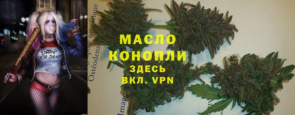 стаф Арсеньев