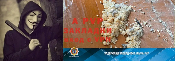 стаф Арсеньев
