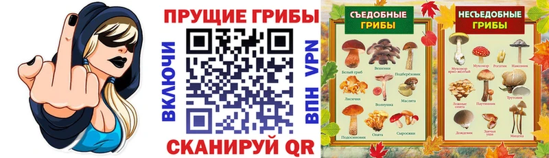 Псилоцибиновые грибы Magic Shrooms Валдай